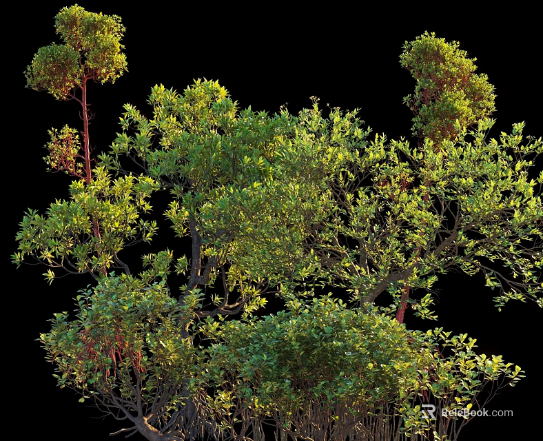 Lush Green Shrubs With Vibrant Foliage And Dense Branches In Natural Garden Setting 3d model 