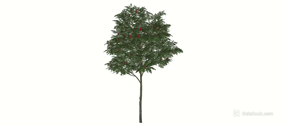 Lush Arbor Tree With Green Leaves Red Fruits And Brown Trunk 3d model 