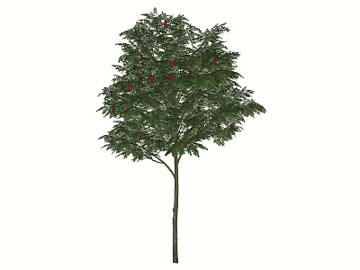 Lush Arbor Tree With Green Leaves Red Fruits And Brown Trunk 3d model