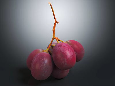 Fresh Ripe Juicy Purple Grapes With Orange Vines On Dark Background 3d model
