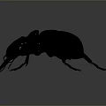 Shiny Metallic Beetle Model With Detailed Legs And Antenna On Gray Background