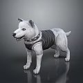 3D Model Dog in Standing Pose Wearing Black Vest and Decorative Collar