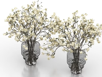 Two Transparent Glass Vases With White Branch Flowers And Modern Design 3d model