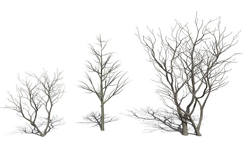 Silly Dead Tree, Dead Tree, Vegetation Decoration 3d model