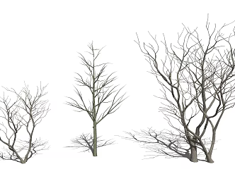 Silly Dead Tree, Dead Tree, Vegetation Decoration 3d model
