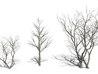 Silly Dead Tree, Dead Tree, Vegetation Decoration 3d model