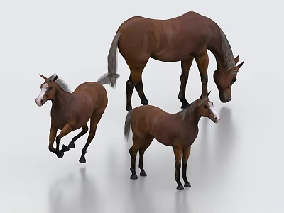 Three Brown Horses Displaying Different Poses Standing Running and Grazing 3d model