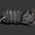 Cute Striped Kitten Standing Pose With Gray Fur And Pink Paws