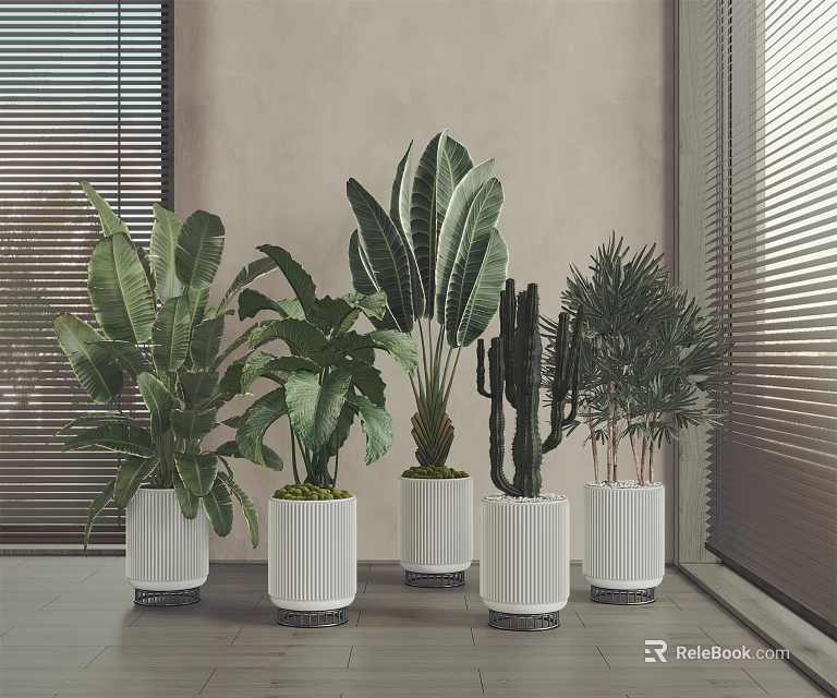 Indoor Potted Plants With Various Greenery In White Pots And Black Bases Near Window Blinds 3d model 