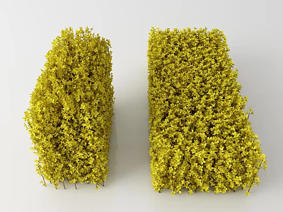 Pair of Lush Yellow Decorative Shrubs Trimmed For Garden Landscape Design 3d model