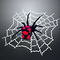 Spider With Black Body And Red Square Markings On Intricate Spider Web