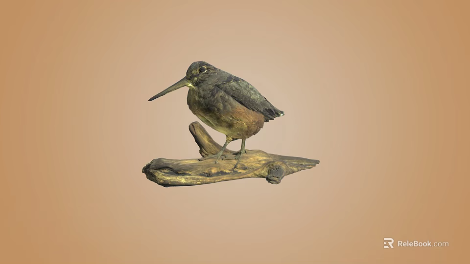 Small Detailed Bird Perched On Wooden Log Against Light Brown Background 3d model 