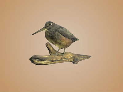 Small Detailed Bird Perched On Wooden Log Against Light Brown Background 3d model