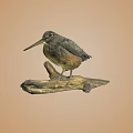 Small Detailed Bird Perched On Wooden Log Against Light Brown Background