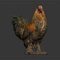 Vibrant Rooster With Orange And Black Feathers And Red Comb Standing On Gray Background
