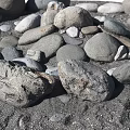 Natural Stone And Wood Decorative Arrangement With Various Sizes On Circular Ground