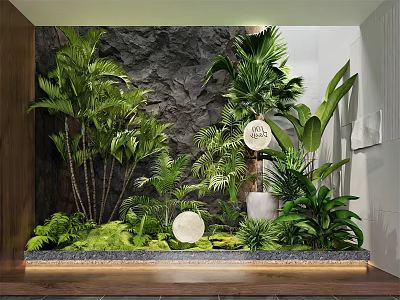 Indoor Plant Combination With Tropical Greenery Stone Wall And Round Decor Elements 3d model