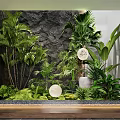 Indoor Plant Combination With Tropical Greenery Stone Wall And Round Decor Elements