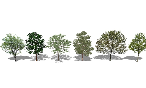 modern tree green arbor plant landscape tree 3d model