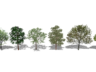 modern tree green arbor plant landscape tree 3d model