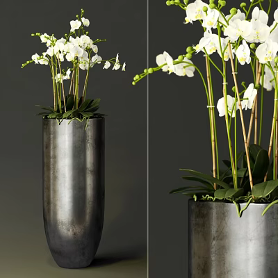 White Orchid Bonsai Potted Plant With Green Leaves And Slender Stems In Metal Vase 3d model