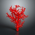 Coral Red Coral White Coral Blue Coral Gold Coral Black Coral Ball Coral Grass Coral Fine Finger Anemone 3d model