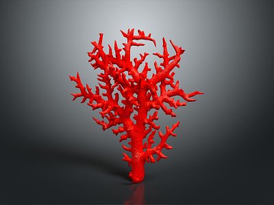 Coral Red Coral White Coral Blue Coral Gold Coral Black Coral Ball Coral Grass Coral Fine Finger Anemone 3d model