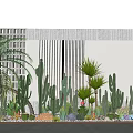 Vibrant Outdoor Flower Garden With Cacti Succulents Palm Trees And White Wall Design