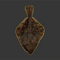 Brown Spotted Flounder with Flat Body Textured Skin and Fins on Dark Background