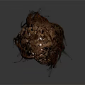 Realistic 3D Human Head Model With Long Brown Wavy Hair Texture And Details