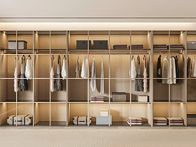 Modern Wardrobe Interior Design With Open Compartments Hanging Rods And Storage Boxes 3d model