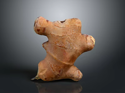 Fresh Organic Ginger Root With Natural Texture On Dark Background 3d model