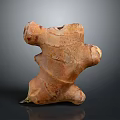 Fresh Organic Ginger Root With Natural Texture On Dark Background