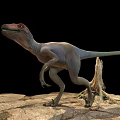 Red Headed Gray Body Reptile Dinosaur Standing On Rocky Ground With Tree Stump