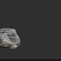 Natural Wood Stone Rock With Rough Surface And Gray Texture For Decoration