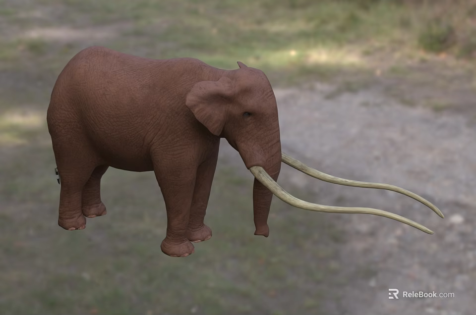 Brown Elephant with Long Tusks Standing on Green Grassland with Vegetation Background 3d model 