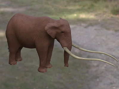 Brown Elephant with Long Tusks Standing on Green Grassland with Vegetation Background 3d model