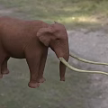 Brown Elephant with Long Tusks Standing on Green Grassland with Vegetation Background