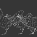 Various Flying Animals Including Chicks Hens And Roosters Of Different Sizes Together