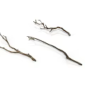 Three Dried Arbor Branches In Various Curved Forked Shapes Natural Brown On Pure White Background