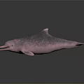 Aquatic Animal Pink Dolphin With Open Mouth And Smooth Skin