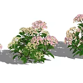 Modern Flower Hydrangea 3d model