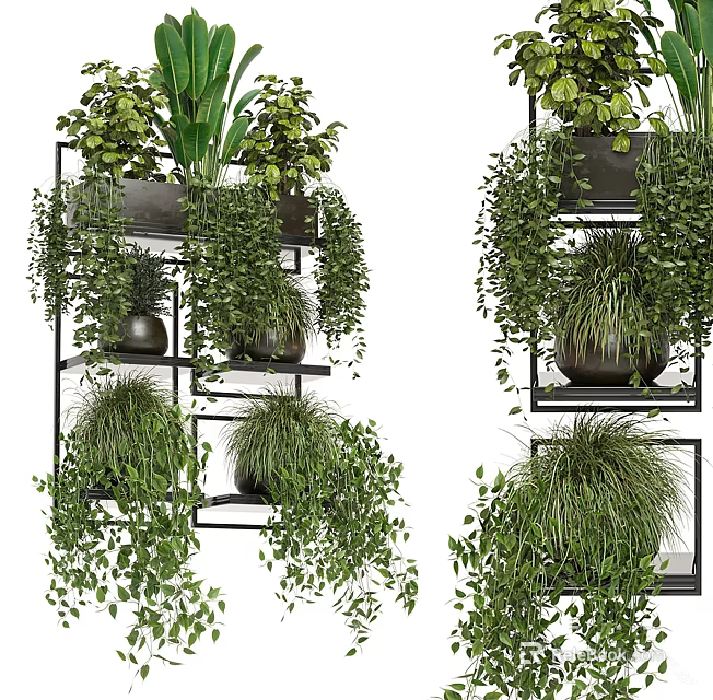 Hanging Basket Plants With Trailing Greenery On Multiple Black Metal Shelves 3d model 
