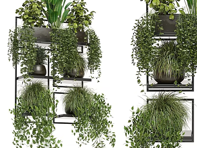 Hanging Basket Plants With Trailing Greenery On Multiple Black Metal Shelves 3d model