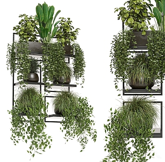 Modern hanging basket plant hanging basket 3d model