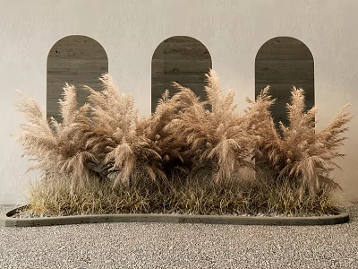 Pampas Grass Decorative Arrangement Against Gray Wall With Arched Windows And Gravel Floor 3d model
