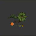 Green Ornamental Shrubs Palm Tree and Various Plants with Orange Fruits White Pots and Succulents