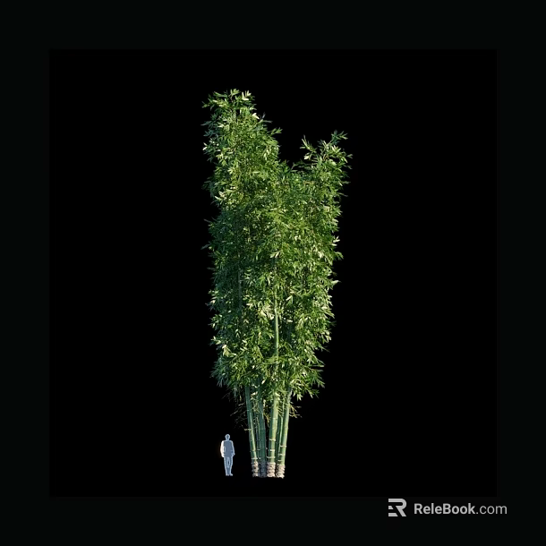 Tall Bamboo Plant With Green Leaves And Multiple Stems Growing In Clump 3d model 
