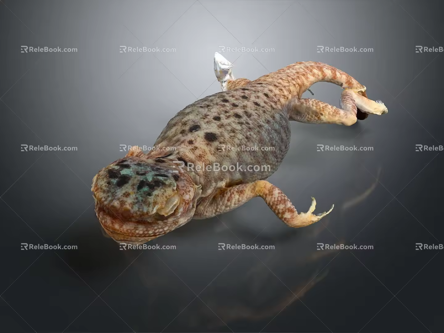 Lizard Anime Lizard Chameleon Cartoon Lizard Reptile Cold Blooded Animal Reptile Class 3d model