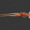 Red And White Lobster With Long Antennae On Dark Background With Reflection 3d model